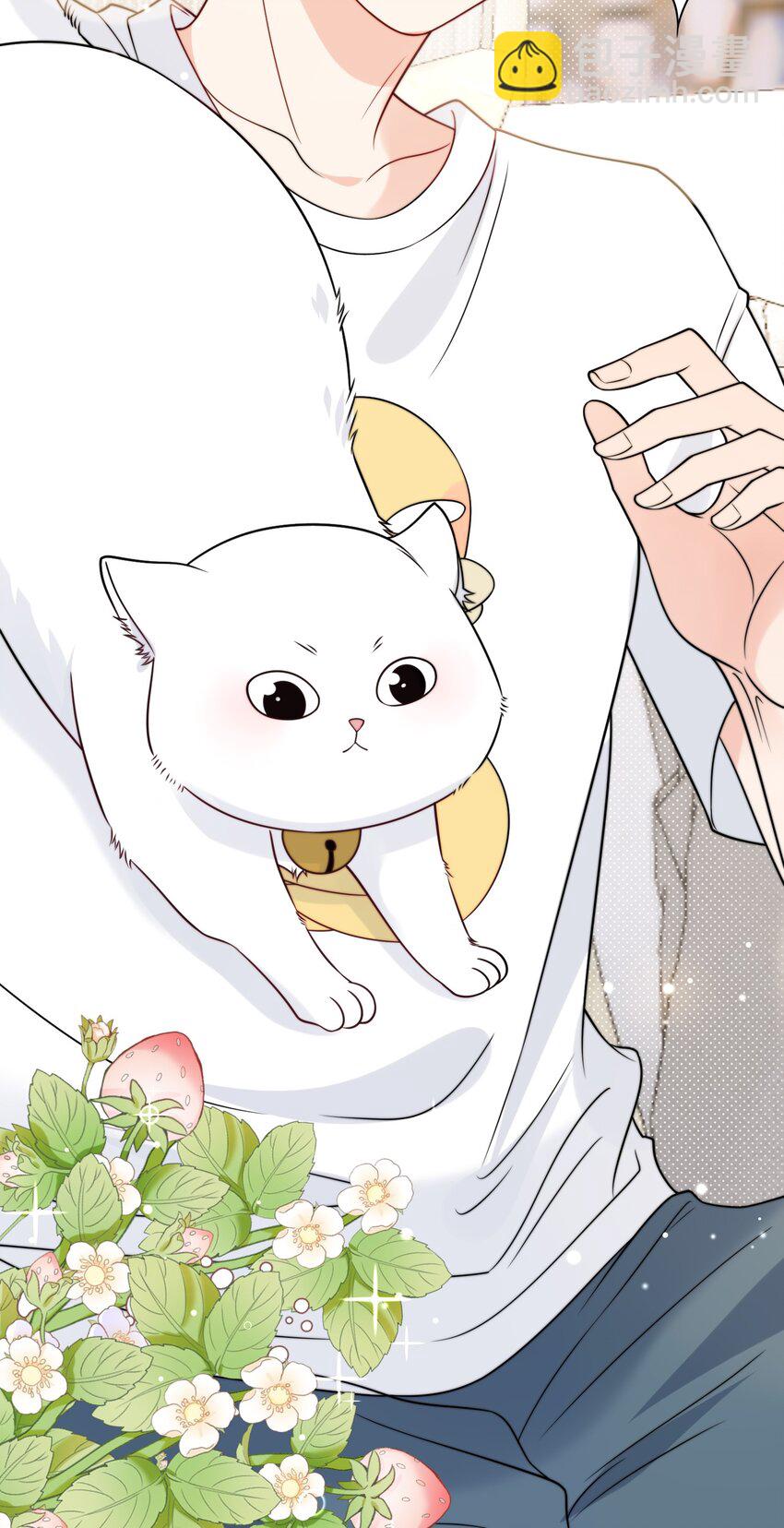 第6话 你要的小猫咪-第7话