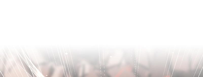 第四十八话 被打断的攻击(1/3)-第49话