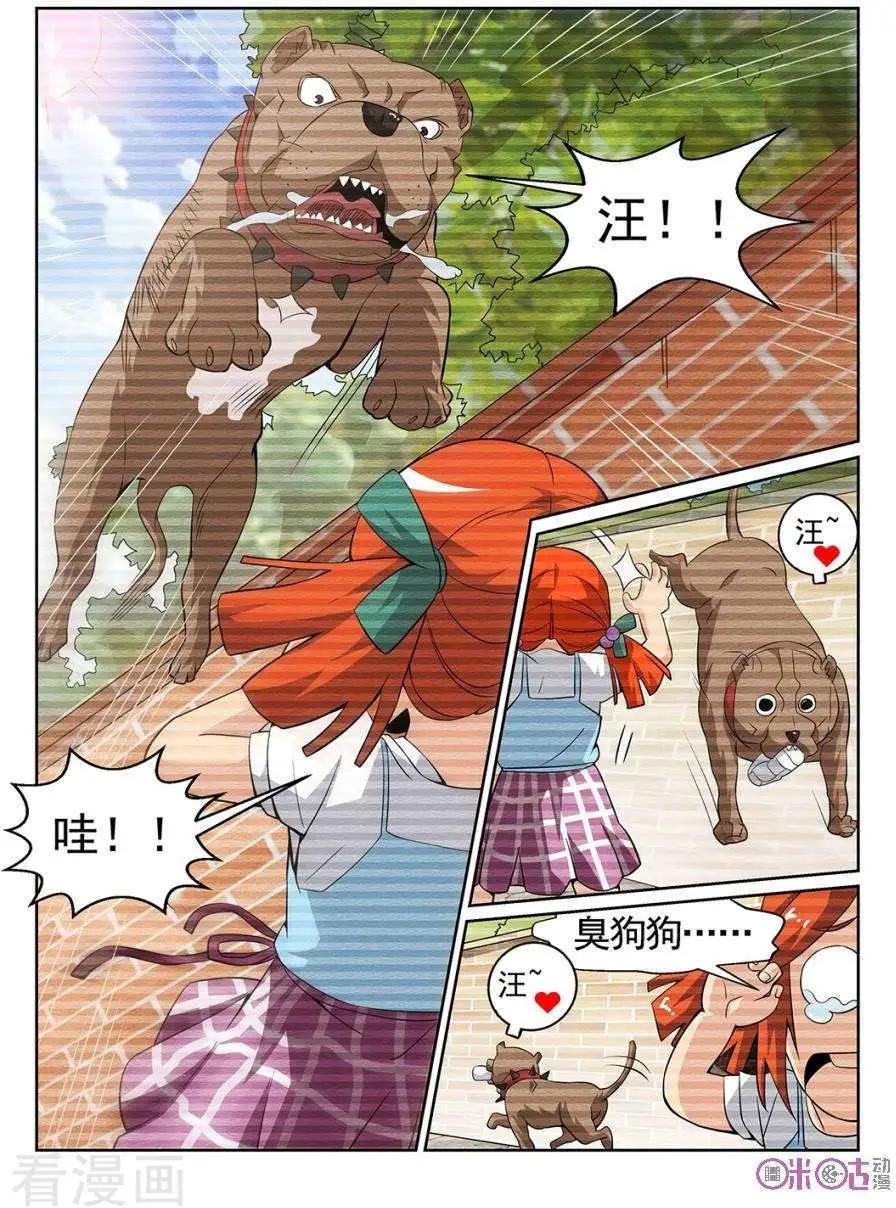 第82话-第79话
