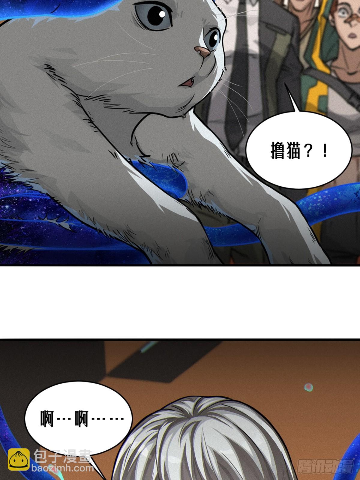 029 护猫使者（下）(1/2)-第45话