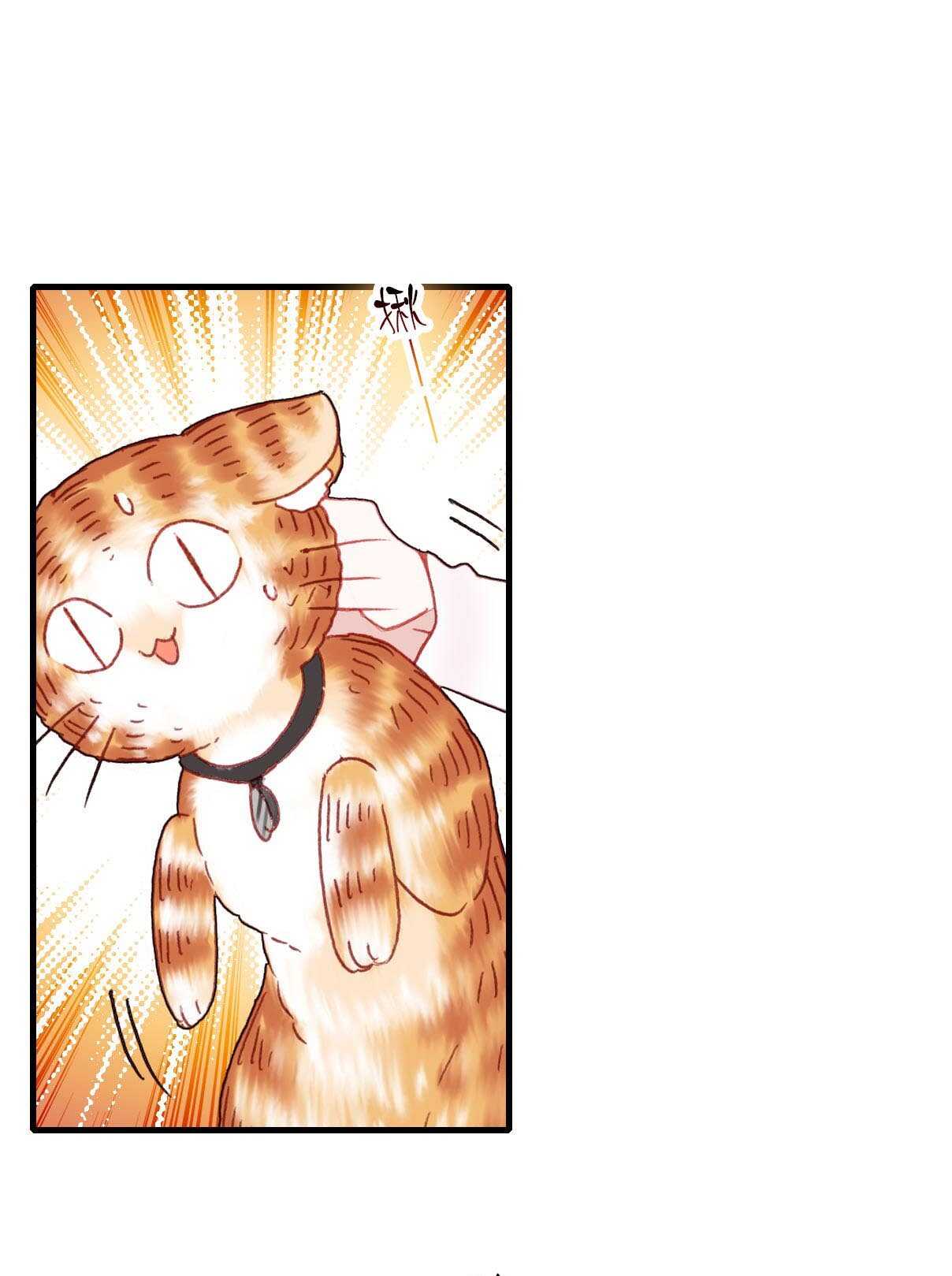 第19话-第19话
