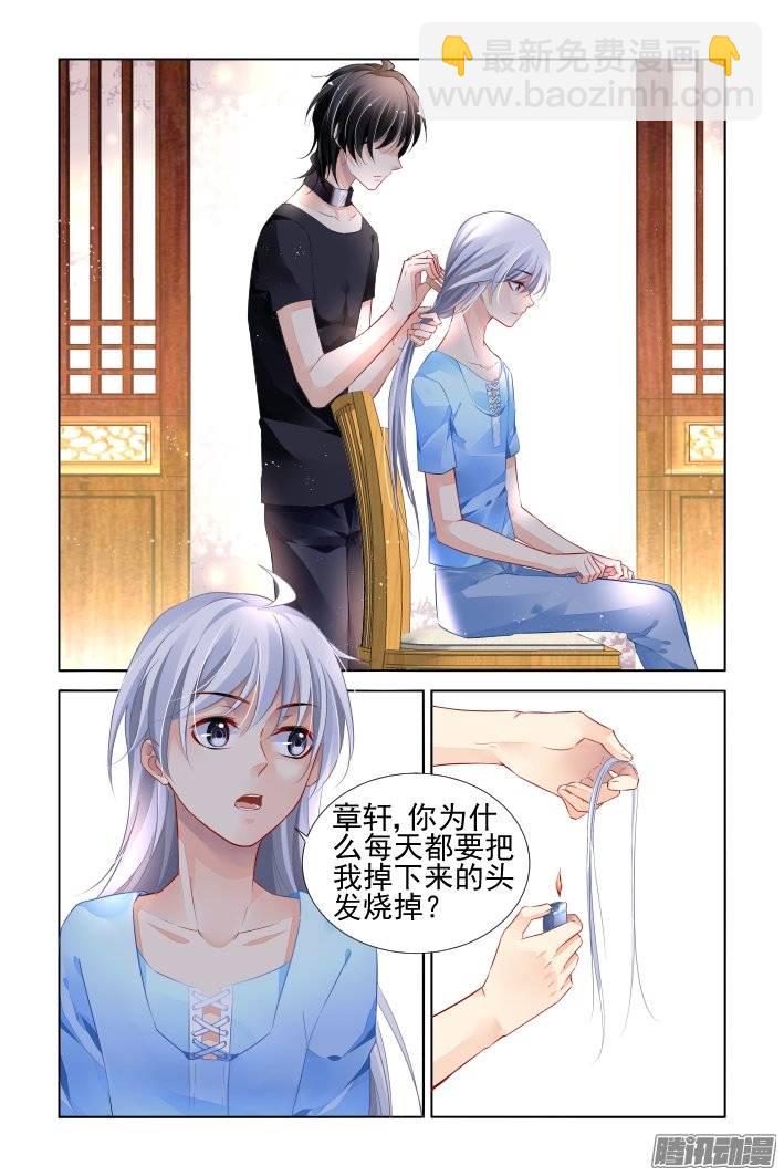 🍔灵契 183：梦回还之（五）结发 第4页
