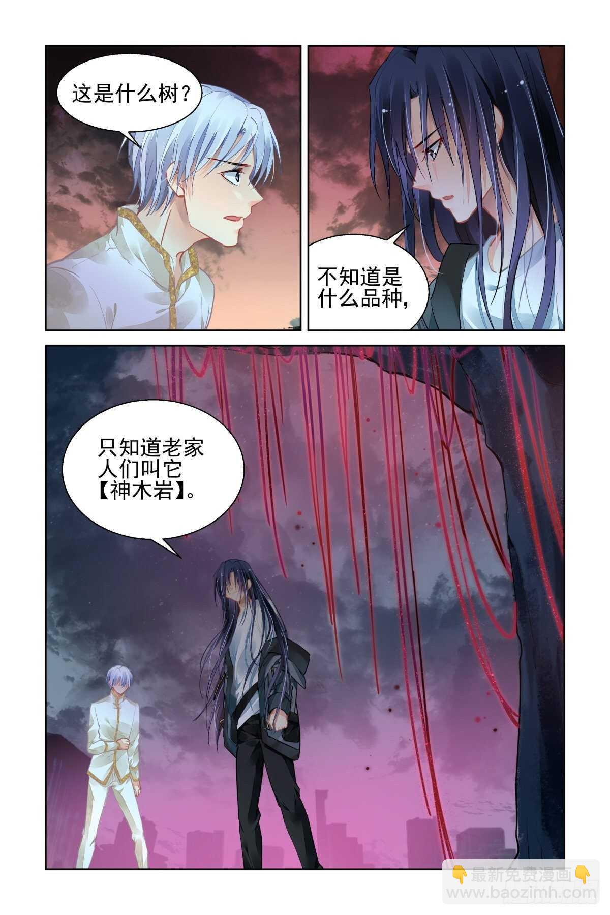 🍔灵契 539：神木岩 第14页