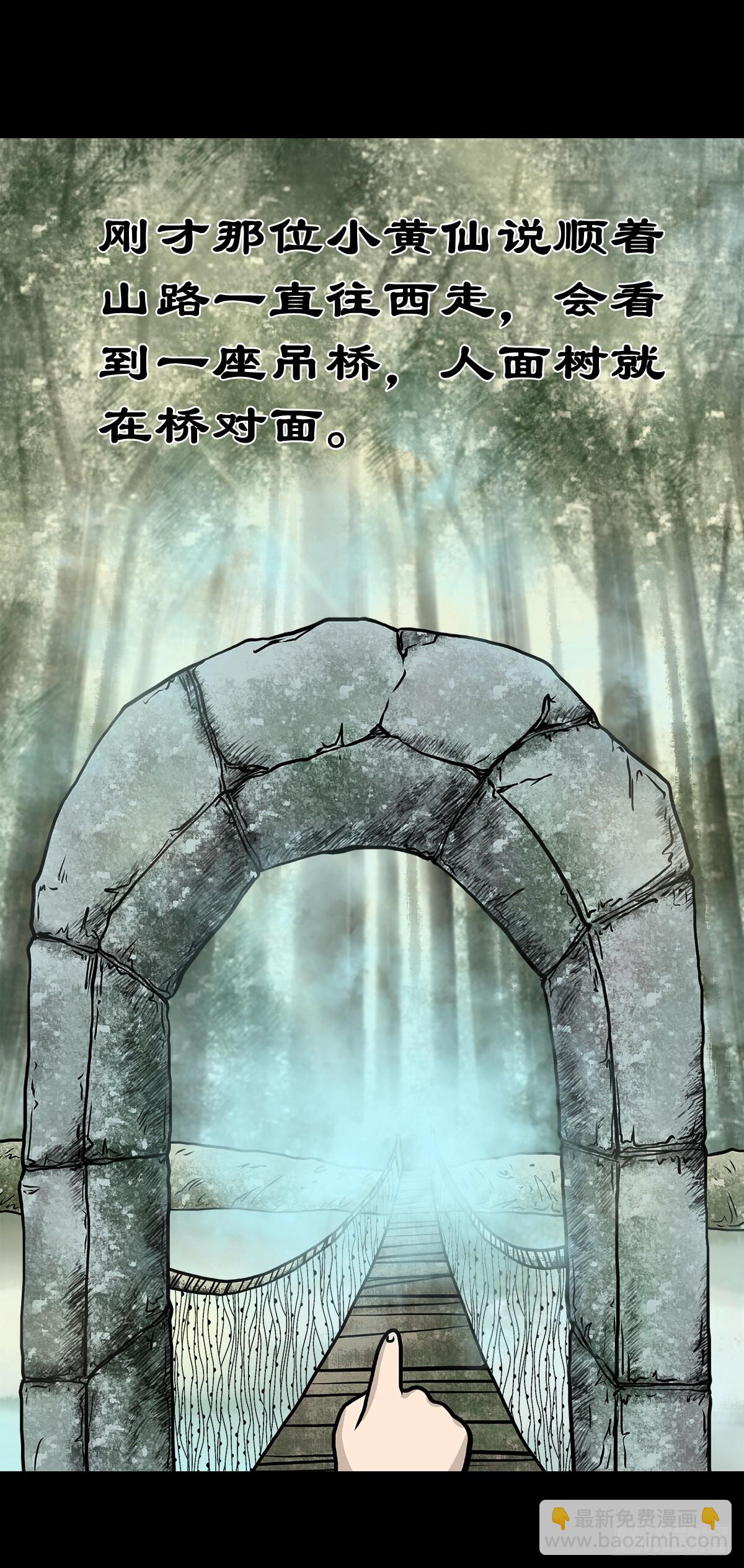 🍔灵侠 【玖】吊桥妖雾 第21页