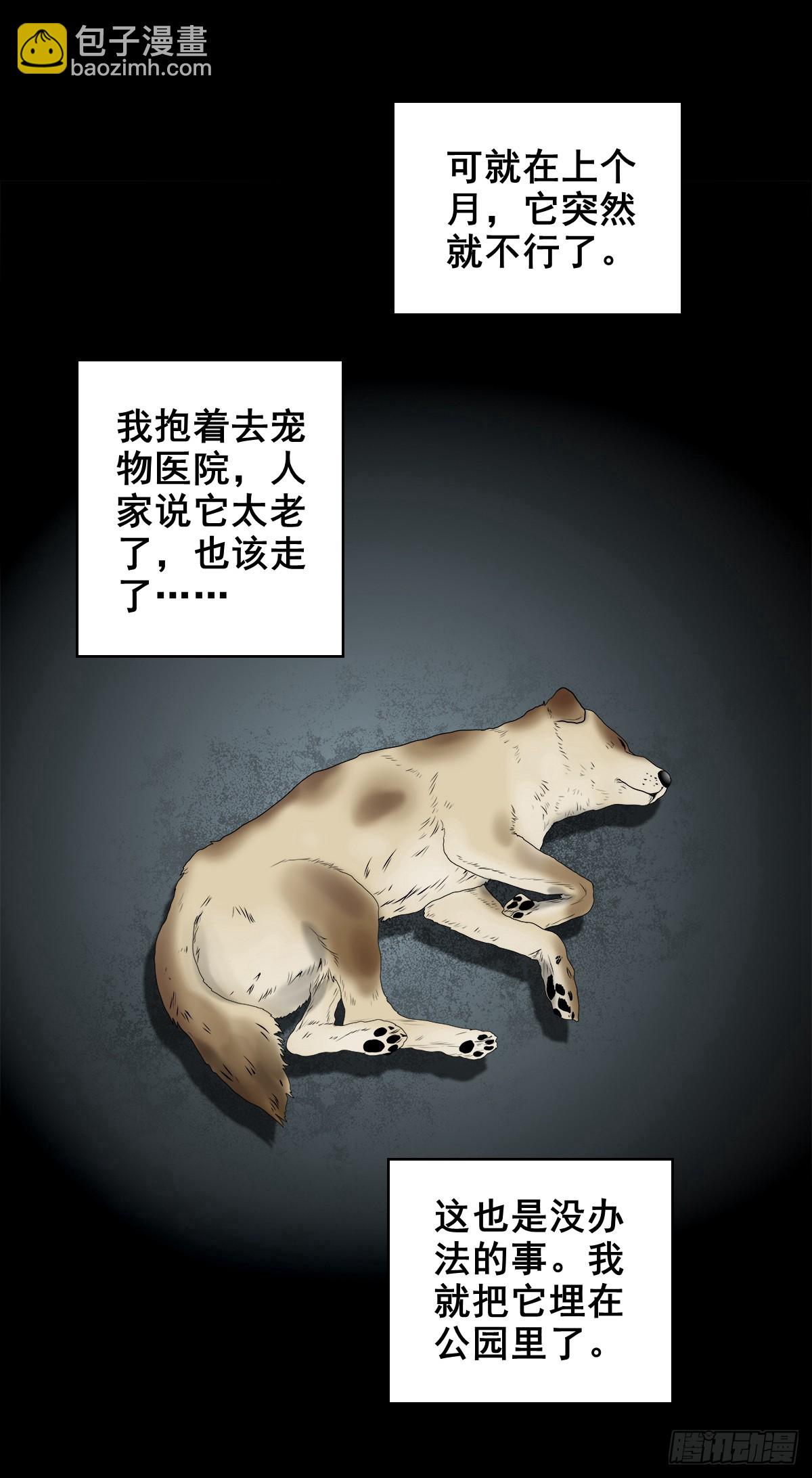 🍔灵侠 【壹佰陆拾叁】水鬼，姑娘和狗 第20页