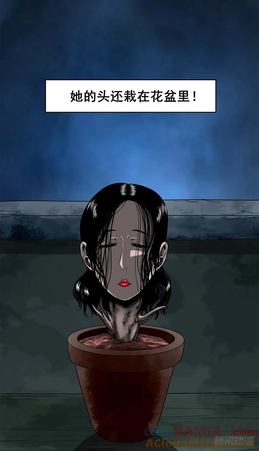 🍔灵侠 【八】花盆里的女人 第13页
