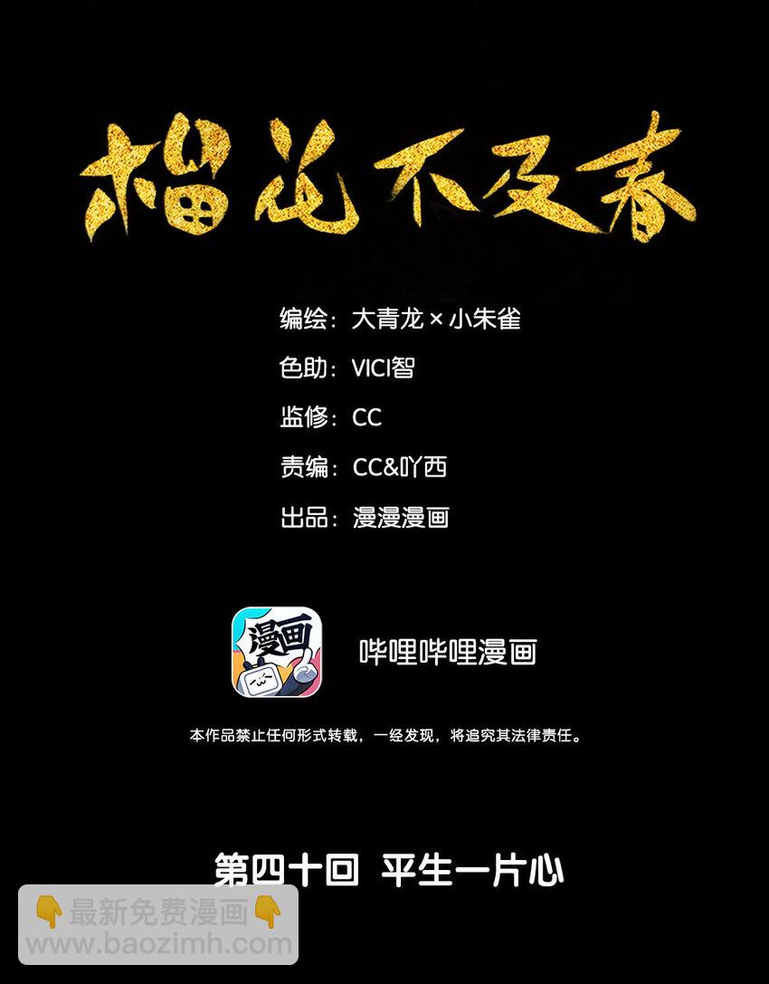 40 平生一片心-第45话