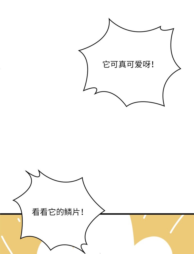 🍔龙的冒险之旅 10 契约或是什么 第12页