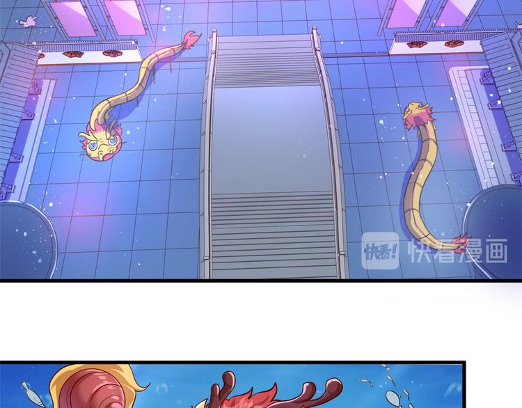 31 生日宴(1/3)-第31话