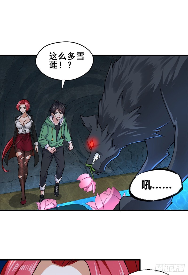 64 小狮子的报恩-第65话