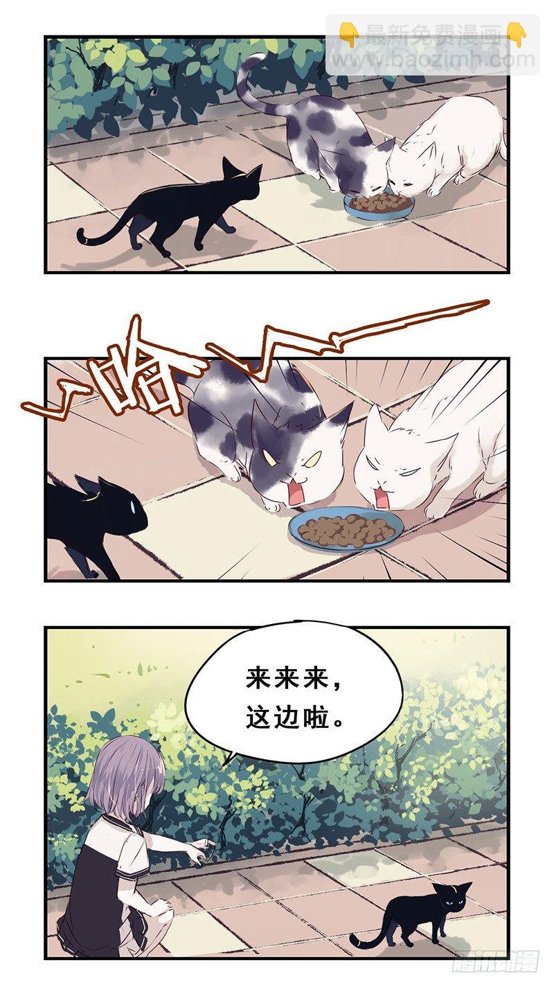 31：小黑（下）-第39话