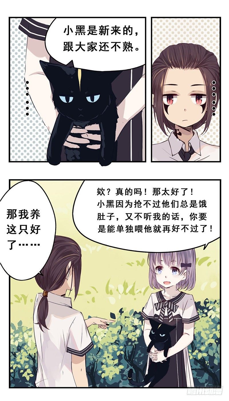 31：小黑（下）-第39话