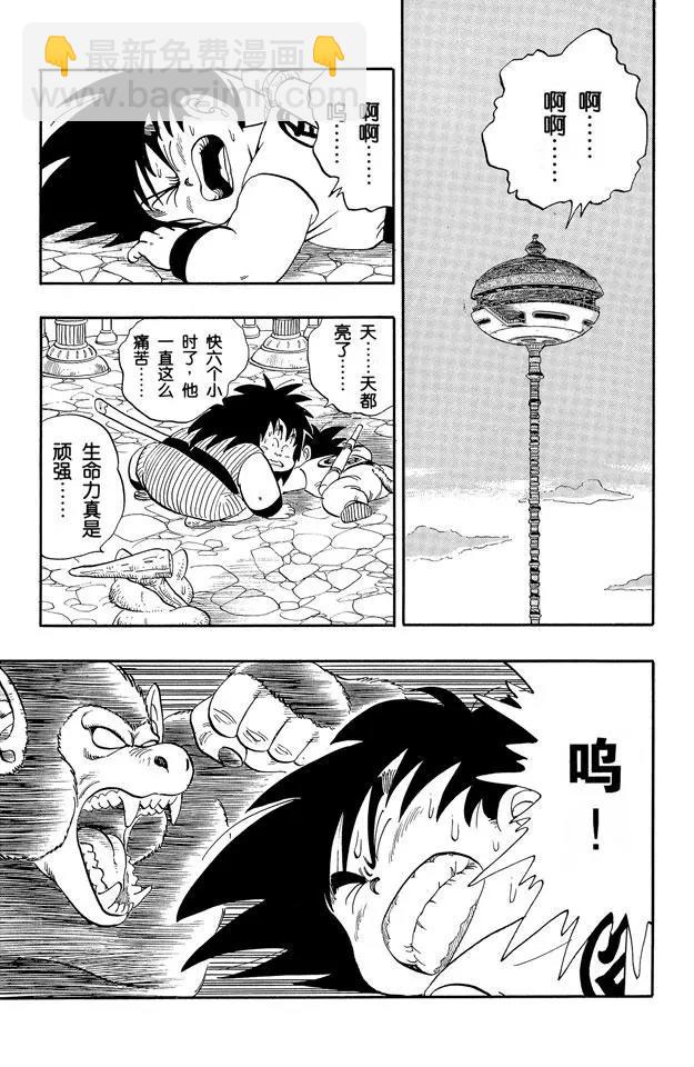 🍔龙珠 第151话 超神水！ 第13页