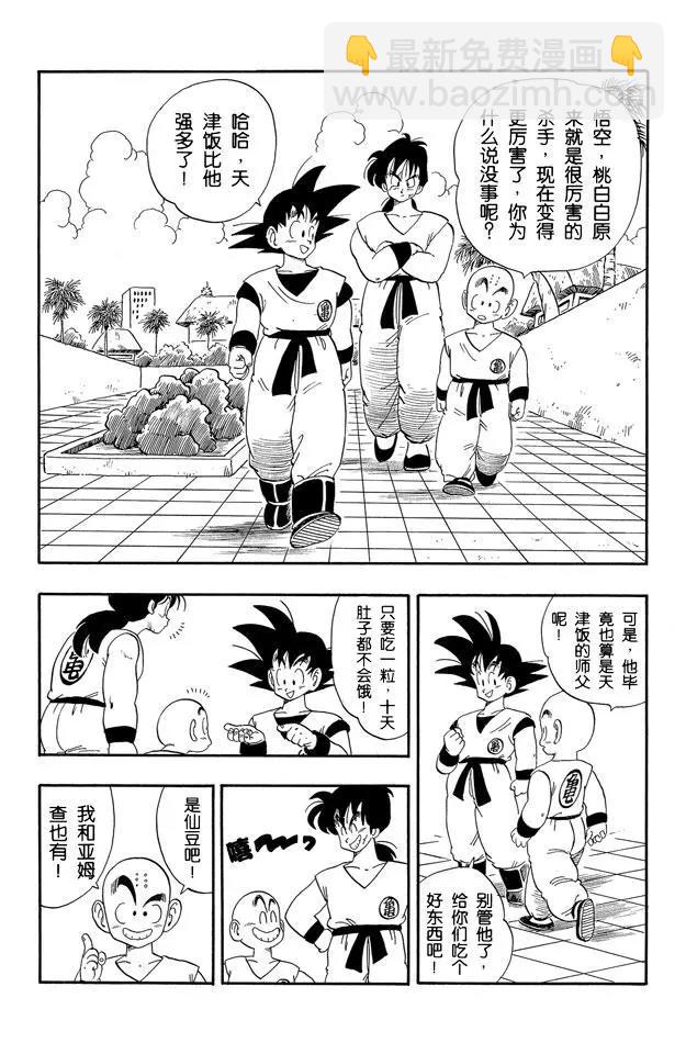 🍔龙珠 第169话 天津饭和桃白白 第13页