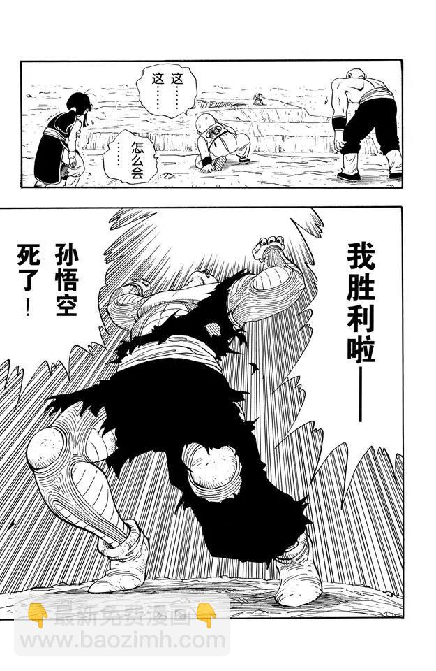 🍔龙珠 第193话 天下第一武道会的高潮 第13页