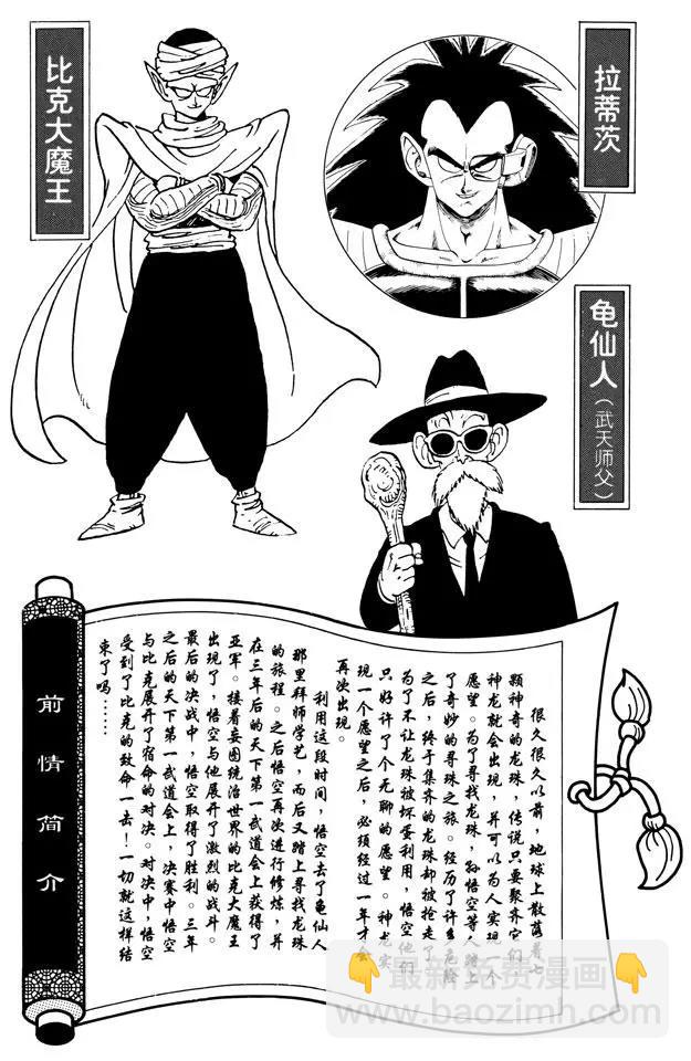 🍔龙珠 第193话 天下第一武道会的高潮 第5页