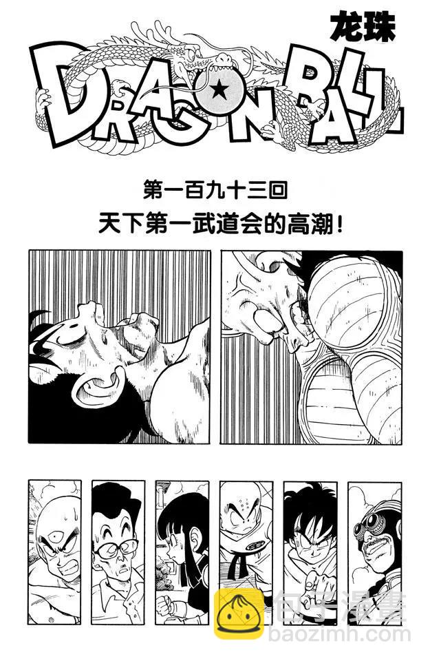 🍔龙珠 第193话 天下第一武道会的高潮 第7页