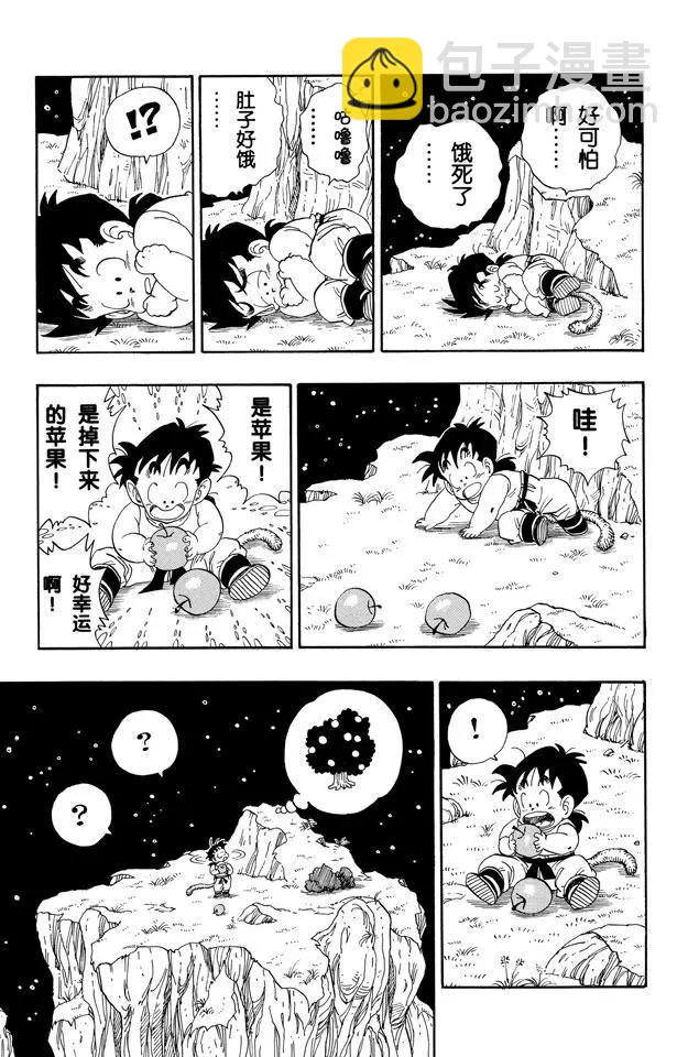 🍔龙珠 第207话 唉！孙悟饭 第12页