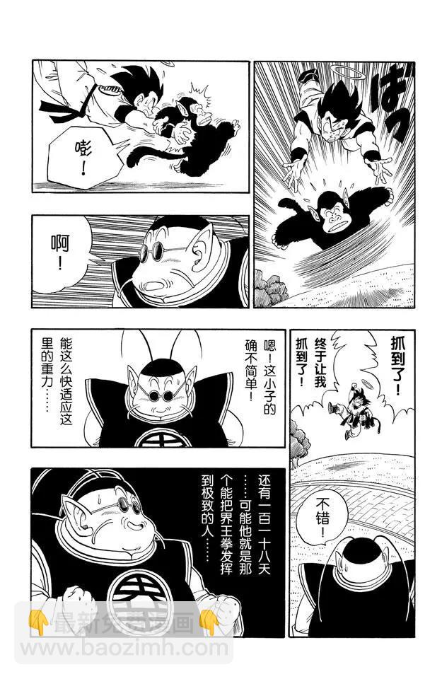 🍔龙珠 第211话 界王和努力中的死人 第11页