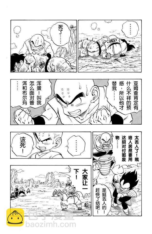 🍔龙珠 第215话 亚姆查的预感 第13页