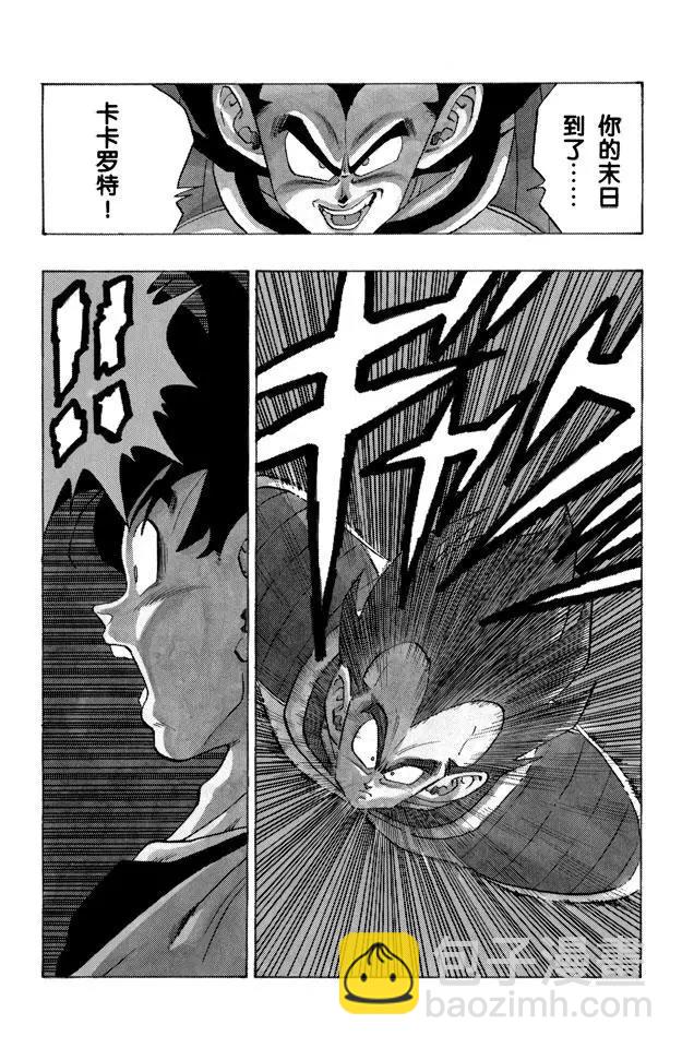 🍔龙珠 第229话 决定一切的超级大战！ 第13页