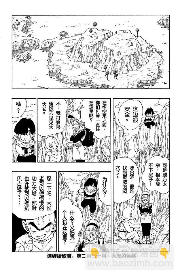 🍔龙珠 第269话 悟饭和贝吉塔的龙珠 第15页