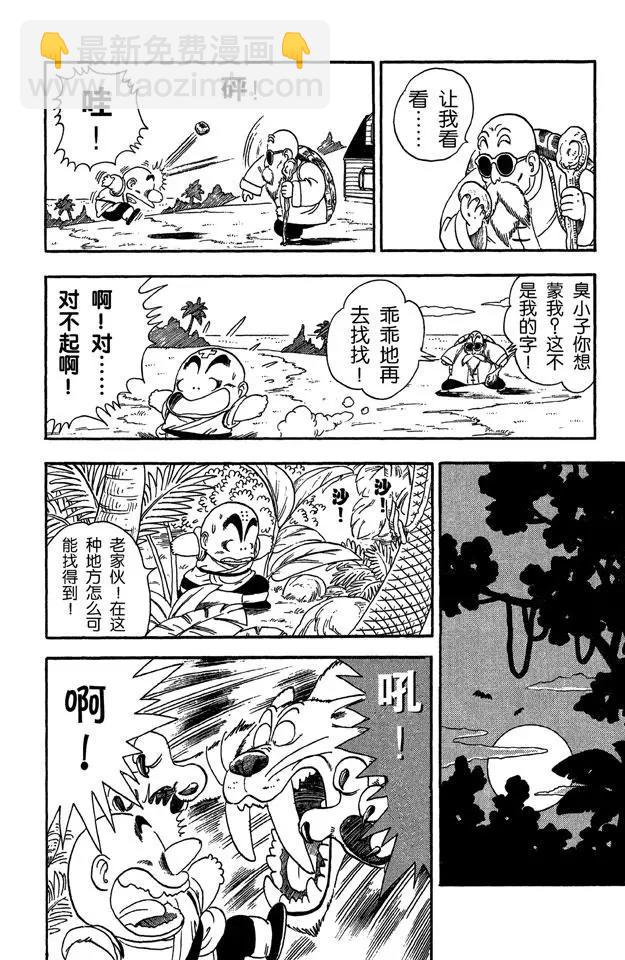 🍔龙珠 第29话 寻找龟字标记的石头 第10页