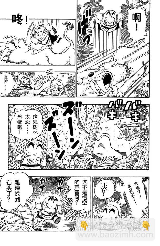 🍔龙珠 第29话 寻找龟字标记的石头 第11页