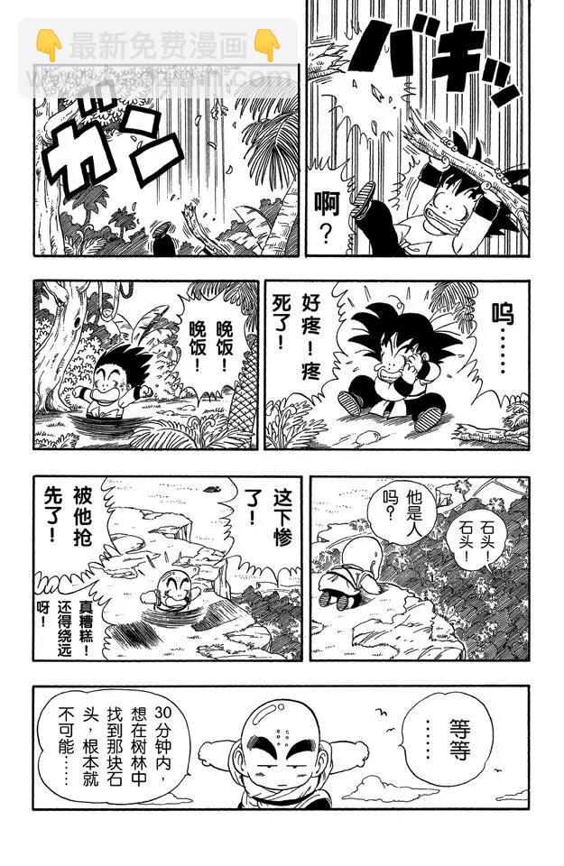 🍔龙珠 第29话 寻找龟字标记的石头 第7页