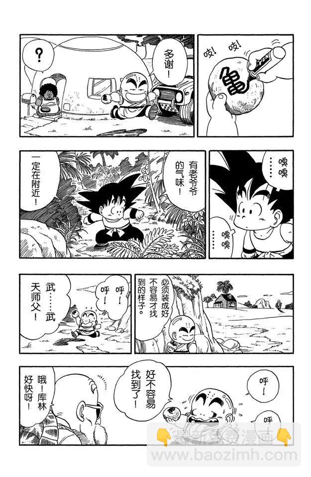 🍔龙珠 第29话 寻找龟字标记的石头 第9页
