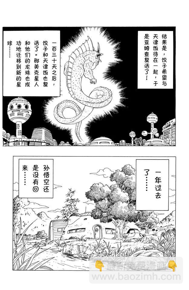🍔龙珠 第329话 没有回来的悟空 第10页
