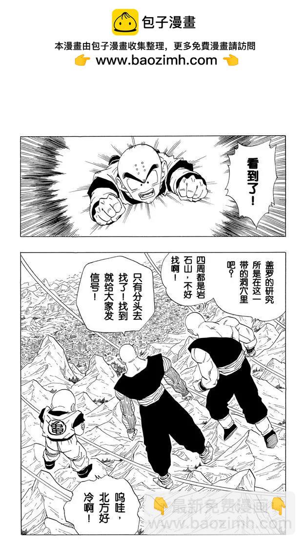🍔龙珠 第349话 被唤醒的17号、18 第2页
