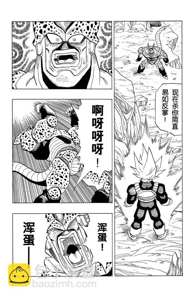 🍔龙珠 第379话 绝望？沙鲁的完全体 第13页