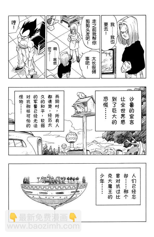 🍔龙珠 第389话 令人战栗的信息 第14页