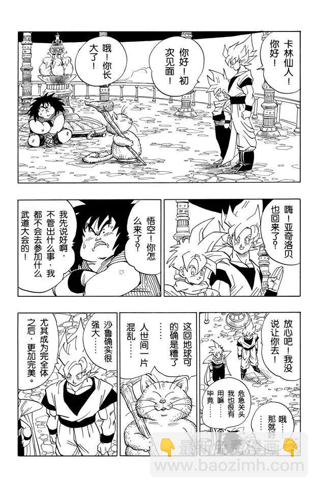 🍔龙珠 第391话 大决战前的休息 第5页