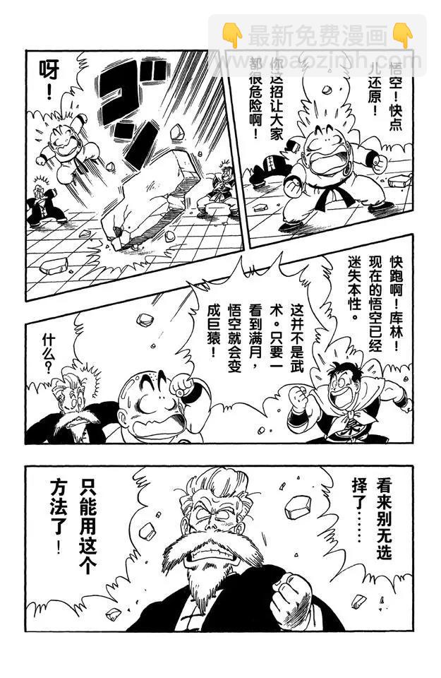 🍔龙珠 第51话 武道会上的骚乱！ 第8页