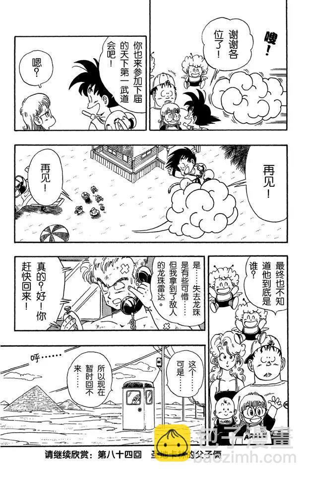 🍔龙珠 第83话 龙珠雷达被抢 第15页