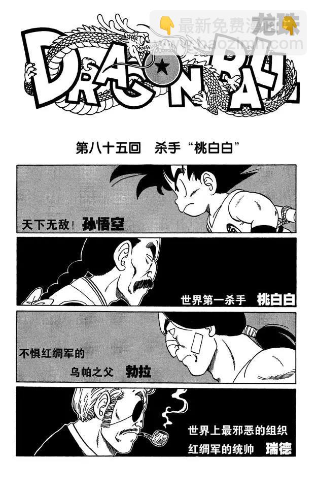 🍔龙珠 第85话 杀手“桃白白” 第7页