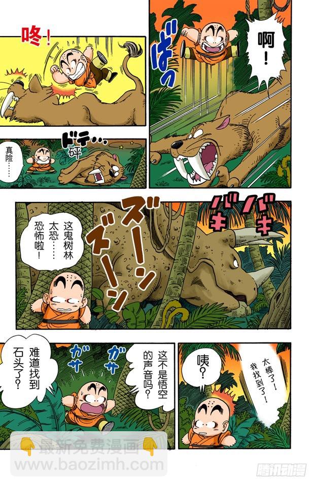 寻找龟字标记的石头-第29话