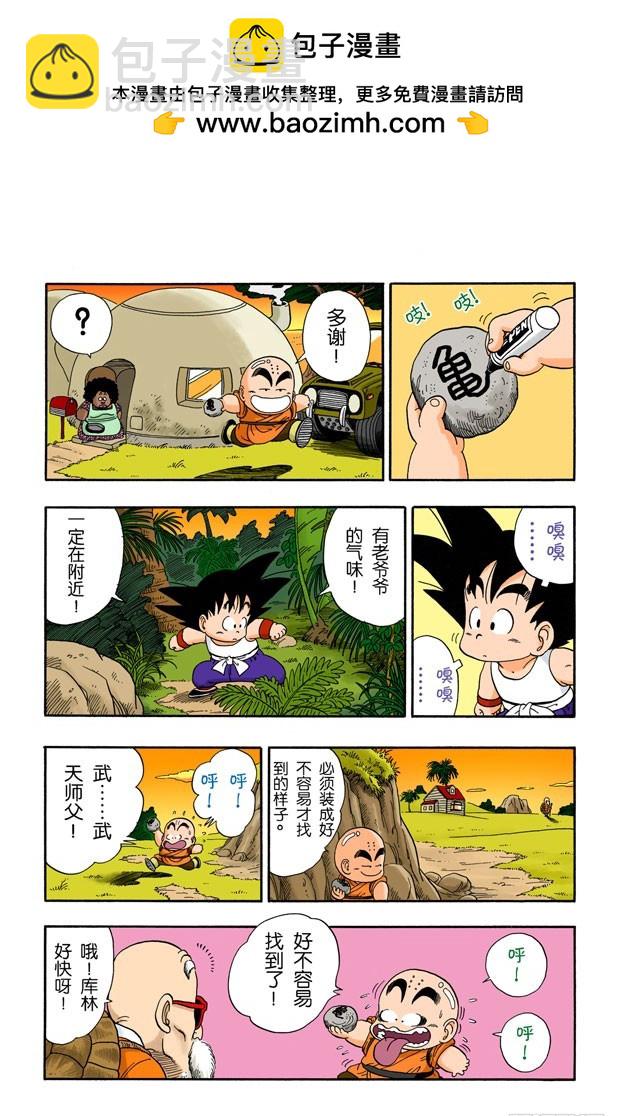 寻找龟字标记的石头-第29话