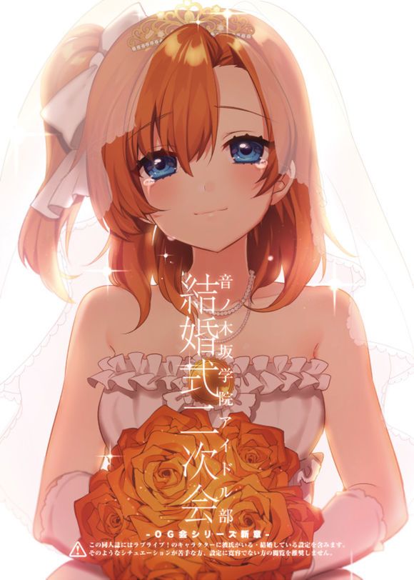 🍔LoveLive 音乃木阪学院偶像部 结婚典礼二次会 前篇 第1页