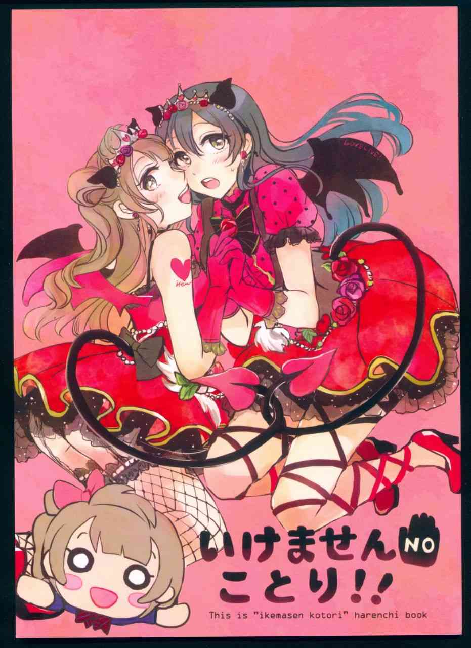 🍔LoveLive 不可以！小鸟 第1页