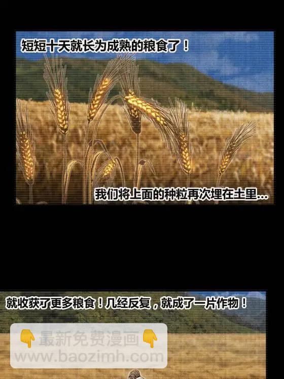 125 神之种(1/2)-第127话