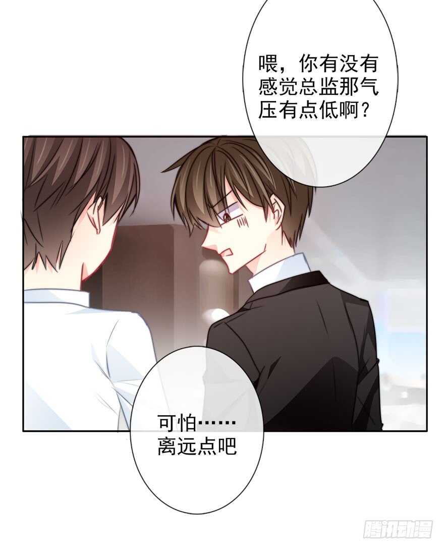 65.业绩和男人都想要-第65话