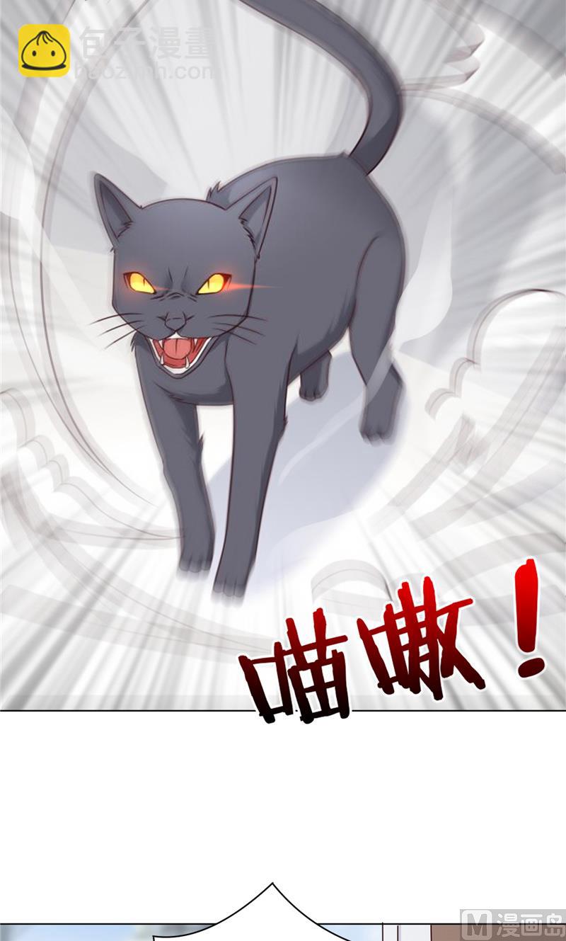 第29话 猫-第29话
