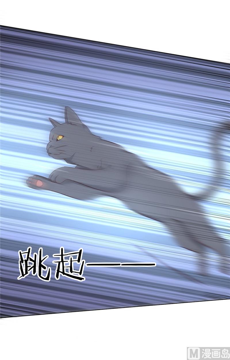 第29话 猫-第29话
