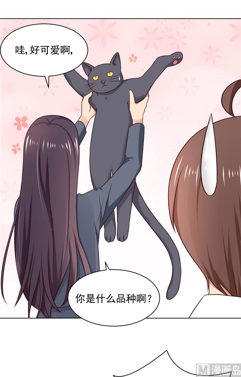 第29话 猫-第29话