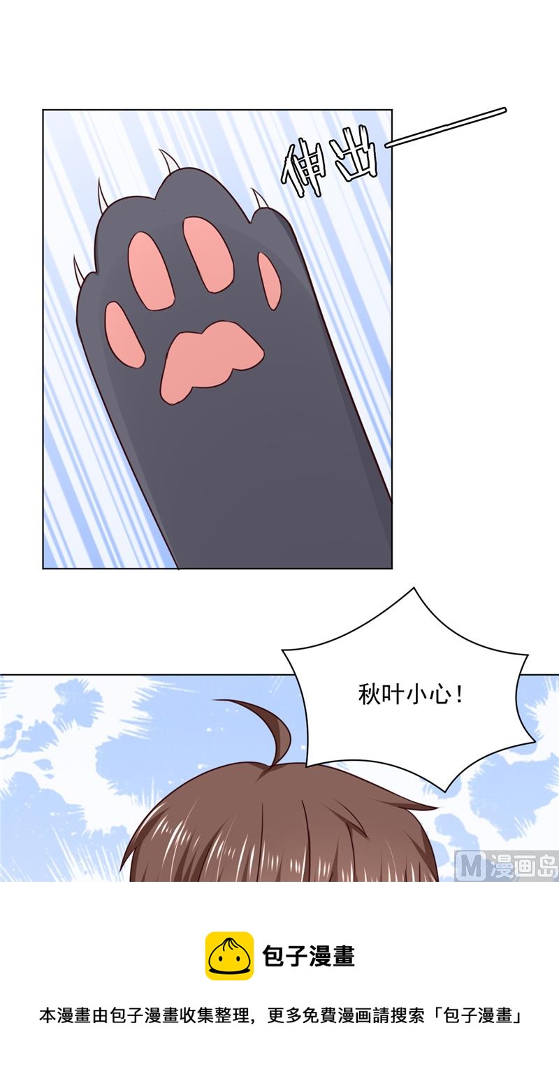 第29话 猫-第29话