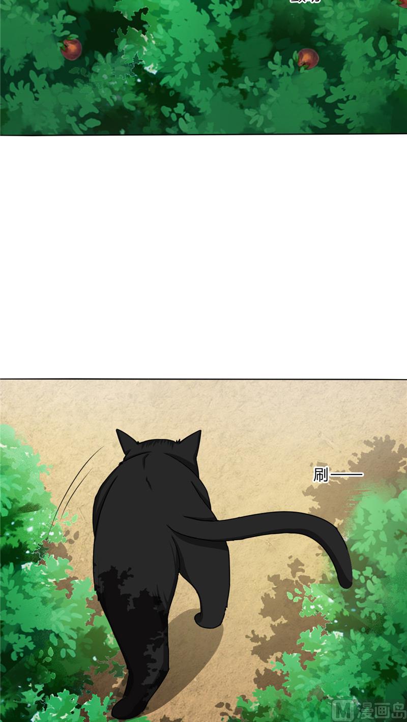 第37话 又见黑猫-第37话
