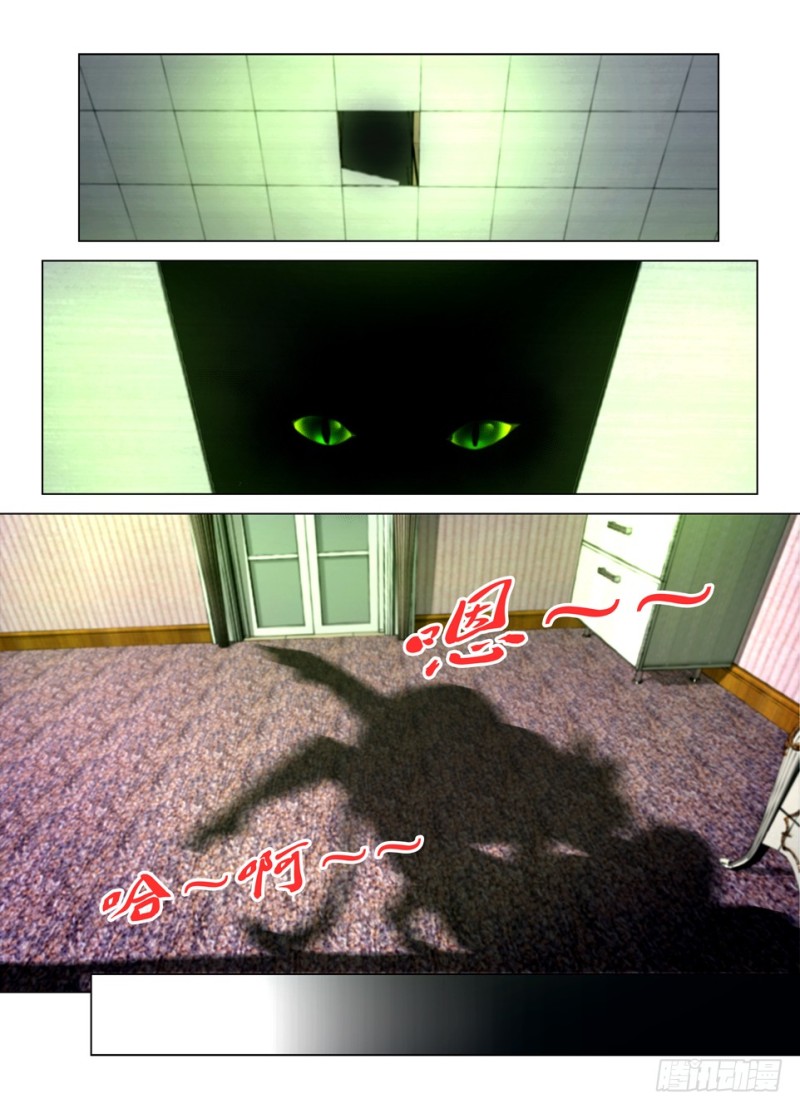 第一百五十一回 猫与人的交配-第151话